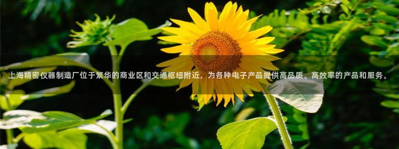天宏娱乐主管q844389