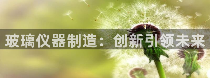 天宏娱乐老男孩吴叔