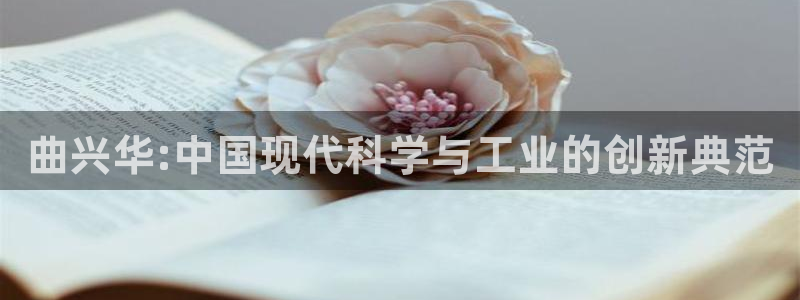 扬州天宏娱乐公司