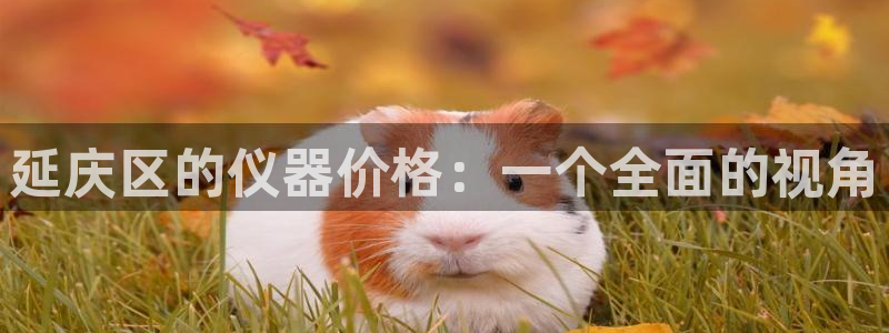 天宏娱乐倒闭了吗：延庆区的仪器价格：一个全面的视角
