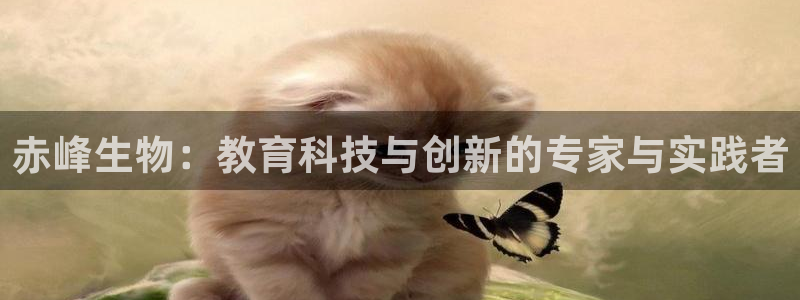 天宏娱乐为什么被骂