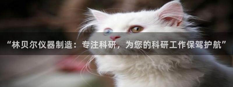 天宏娱乐直播在线观看免费