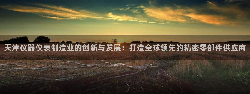 天宏娱乐老季：天津仪器仪表制造业的创新与发展：打造全球领先的