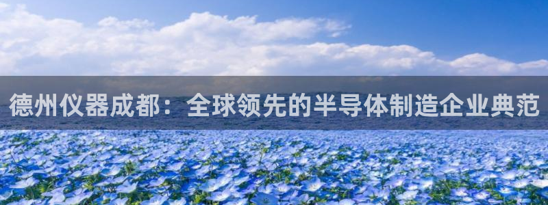 天宏娱乐天跃娱乐：德州仪器成都：全球领先的半导体制造企业典范
