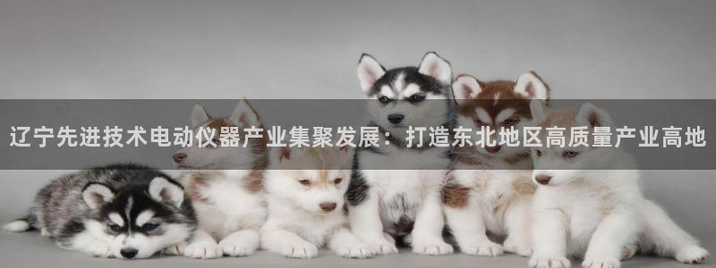 天宏娱乐胡叔：辽宁先进技术电动仪器产业集聚发展：打造东北地区