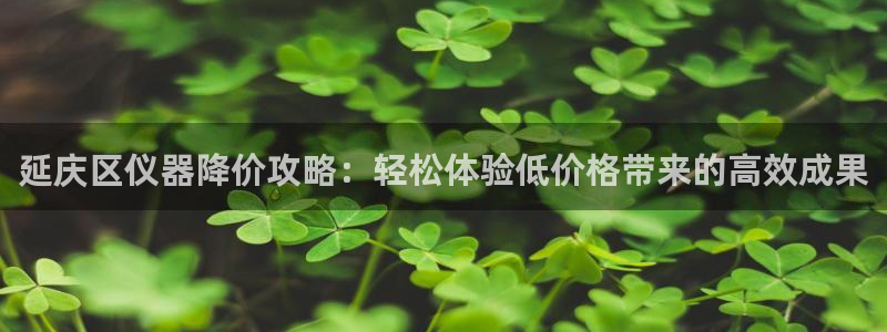 常平天宏娱乐会所电话：延庆区仪器降价攻略：轻松体验低价格带来