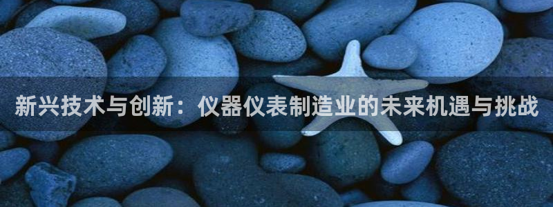 天宏娱乐巴扎黑：新兴技术与创新：仪器仪表制造业的未来机遇与挑