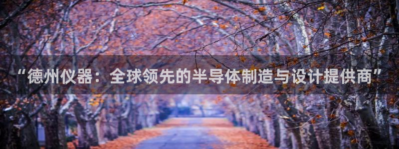 天宏娱乐河源：“德州仪器：全球领先的半导体制造与设计提供商”