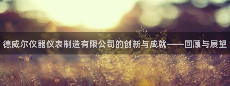 天宏娱乐传媒岳阳：德威尔仪器仪表制造有限公司的创新与成就——