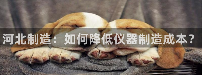 天宏娱乐董叔：河北制造：如何降低仪器制造成本？
