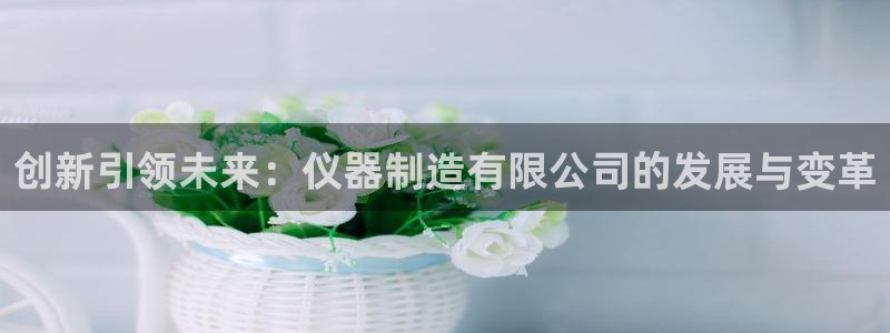 天宏娱乐m 判官：创新引领未来：仪器制造有限公司的发展与变革