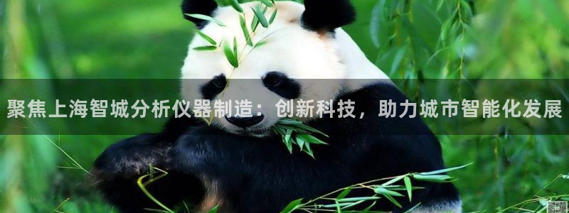 天宏娱乐创始人：聚焦上海智城分析仪器制造：创新科技，助力城市
