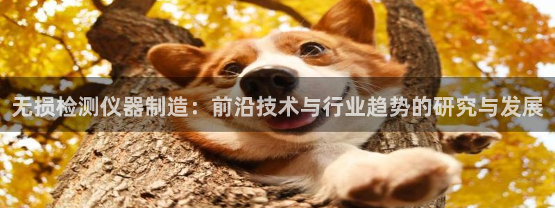 天宏娱乐集团：无损检测仪器制造：前沿技术与行业趋势的研究与发