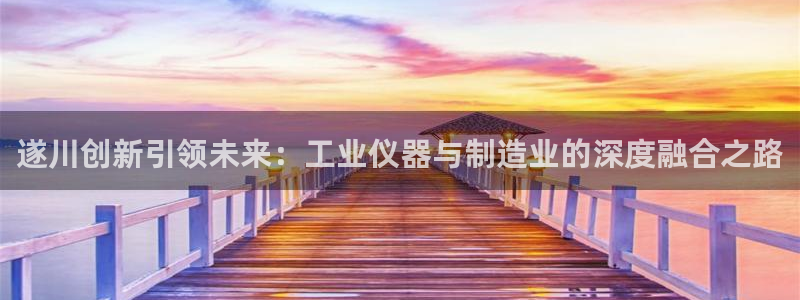 株洲天宏娱乐会所电话：遂川创新引领未来：工业仪器与制造业的深