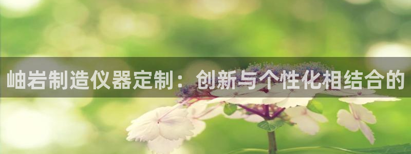 临沂天宏娱乐会所电话地址：岫岩制造仪器定制：创新与个性化相结