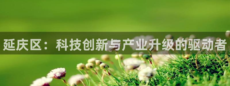 天宏娱乐股东：延庆区：科技创新与产业升级的驱动者