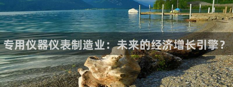 天宏娱乐管a事443593：专用仪器仪表制造业：未来的经济增