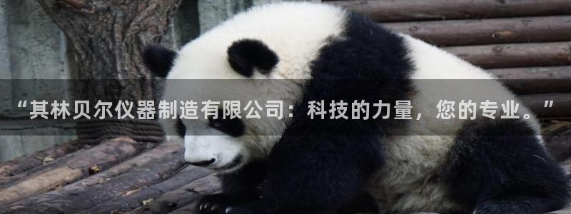 西安天宏娱乐团队招聘：“其林贝尔仪器制造有限公司：科技的力量