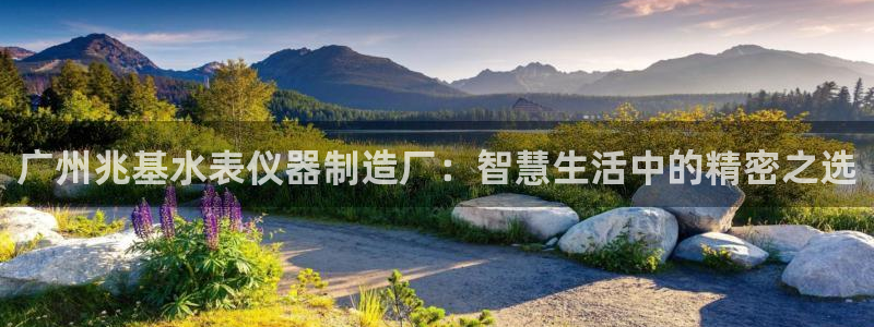 天宏娱乐魂师对决：广州兆基水表仪器制造厂：智慧生活中的精密之