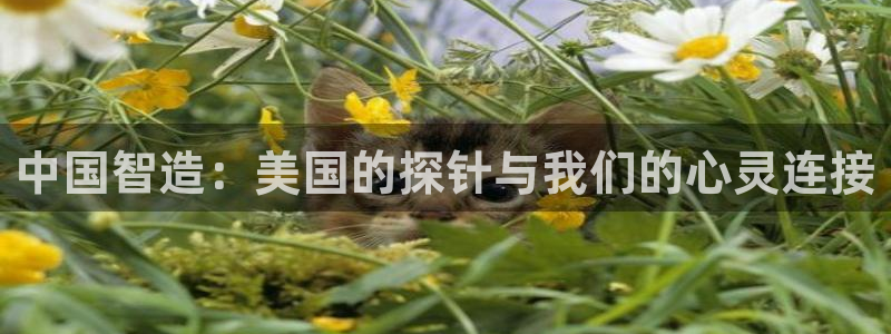 天宏娱乐天宏娱禾：中国智造：美国的探针与我们的心灵连接
