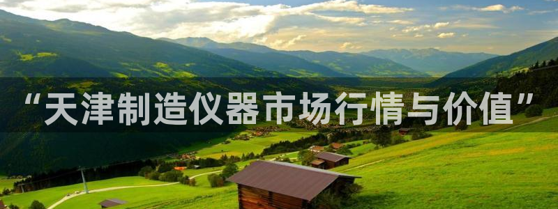 天宏娱乐小号：“天津制造仪器市场行情与价值”