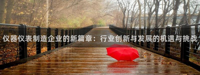天宏娱乐男神季叔：仪器仪表制造企业的新篇章：行业创新与发展的