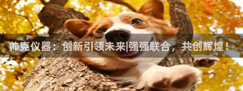 天宏娱乐大叔团队介绍视频：帅克仪器：创新引领未来|强强联合，