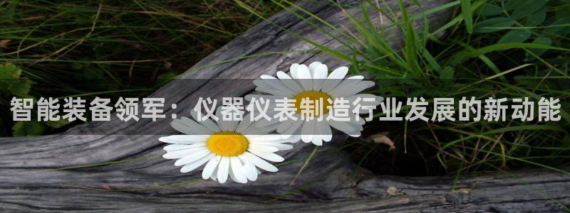 天宏娱乐乐天跃娱乐：智能装备领军：仪器仪表制造行业发展的新动