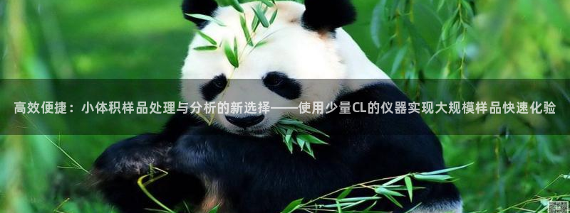 天宏娱乐魂师对决：高效便捷：小体积样品处理与分析的新选择——