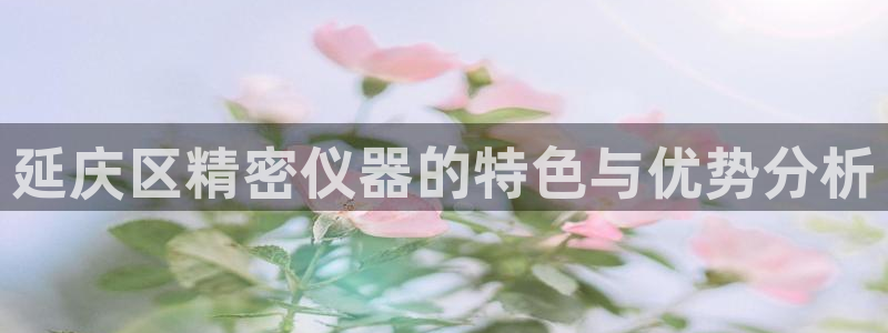天宏娱乐朱俊伟