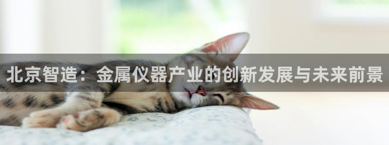 快手天宏娱乐是什么：北京智造：金属仪器产业的创新发展与未来前