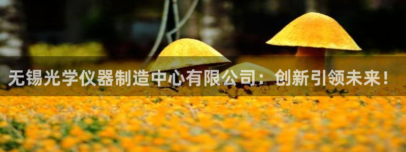 天宏娱乐 22376：无锡光学仪器制造中心有限公司：创新引领