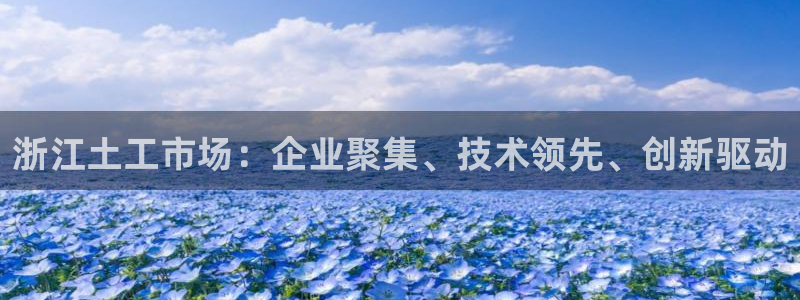 天宏娱乐老秦：浙江土工市场：企业聚集、技术领先、创新驱动