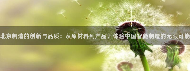 天宏娱乐李叔：北京制造的创新与品质：从原材料到产品，体验中国