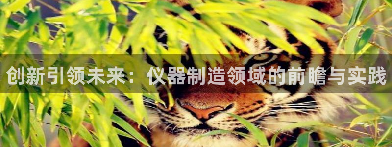 天宏娱乐传媒旗下艺人