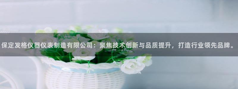 天宏娱乐林叔：保定发格仪器仪表制造有限公司：聚焦技术创新与品