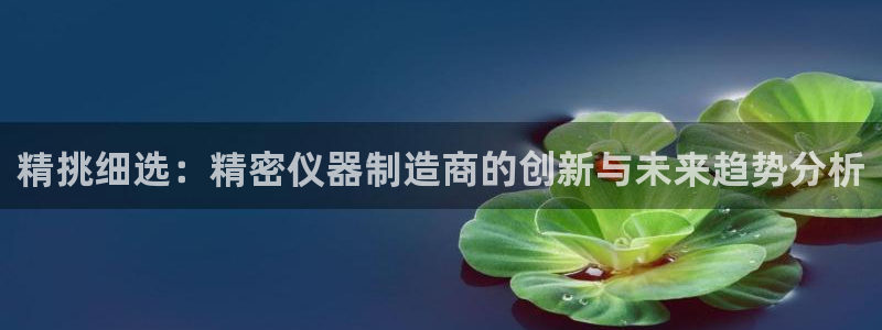 天宏娱乐胡叔