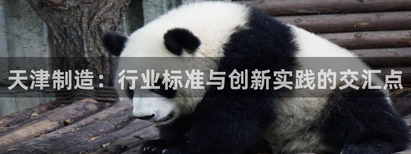 天宏娱乐的王叔：天津制造：行业标准与创新实践的交汇点