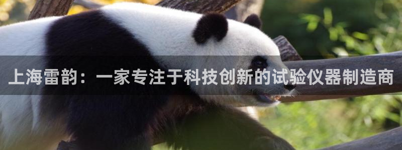 天宏娱乐韩叔视频：上海雷韵：一家专注于科技创新的试验仪器制造