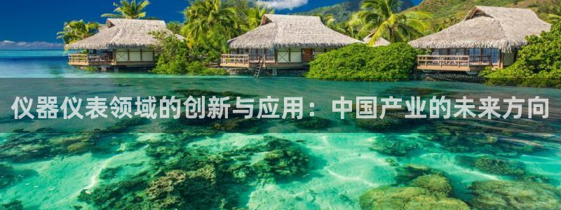 天宏娱乐有明星吗：仪器仪表领域的创新与应用：中国产业的未来方