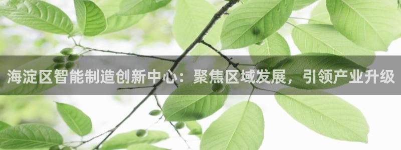 天宏娱乐视频：海淀区智能制造创新中心：聚焦区域发展，引领产业