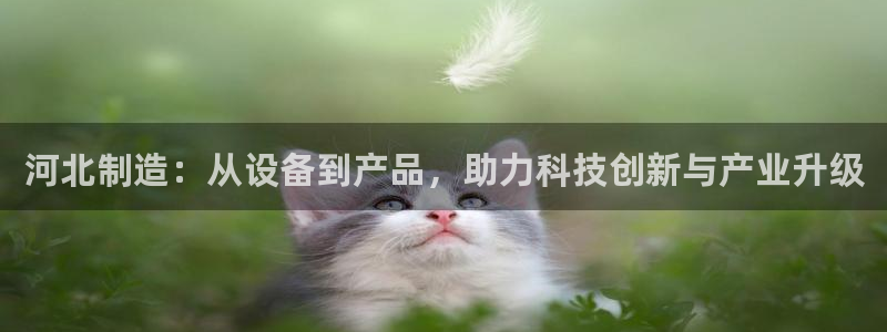 天宏娱乐股东：河北制造：从设备到产品，助力科技创新与产业升级