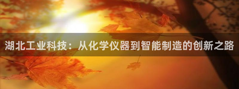 天宏娱乐河源店地址查询：湖北工业科技：从化学仪器到智能制造的