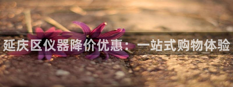 天宏娱乐集团：延庆区仪器降价优惠：一站式购物体验
