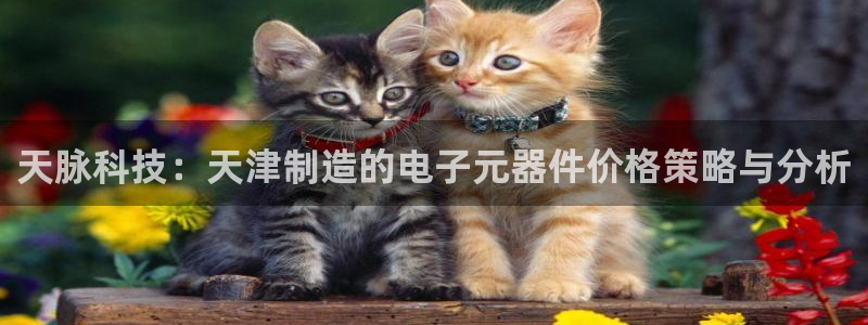 天宏娱乐梁善良：天脉科技：天津制造的电子元器件价格策略与分析